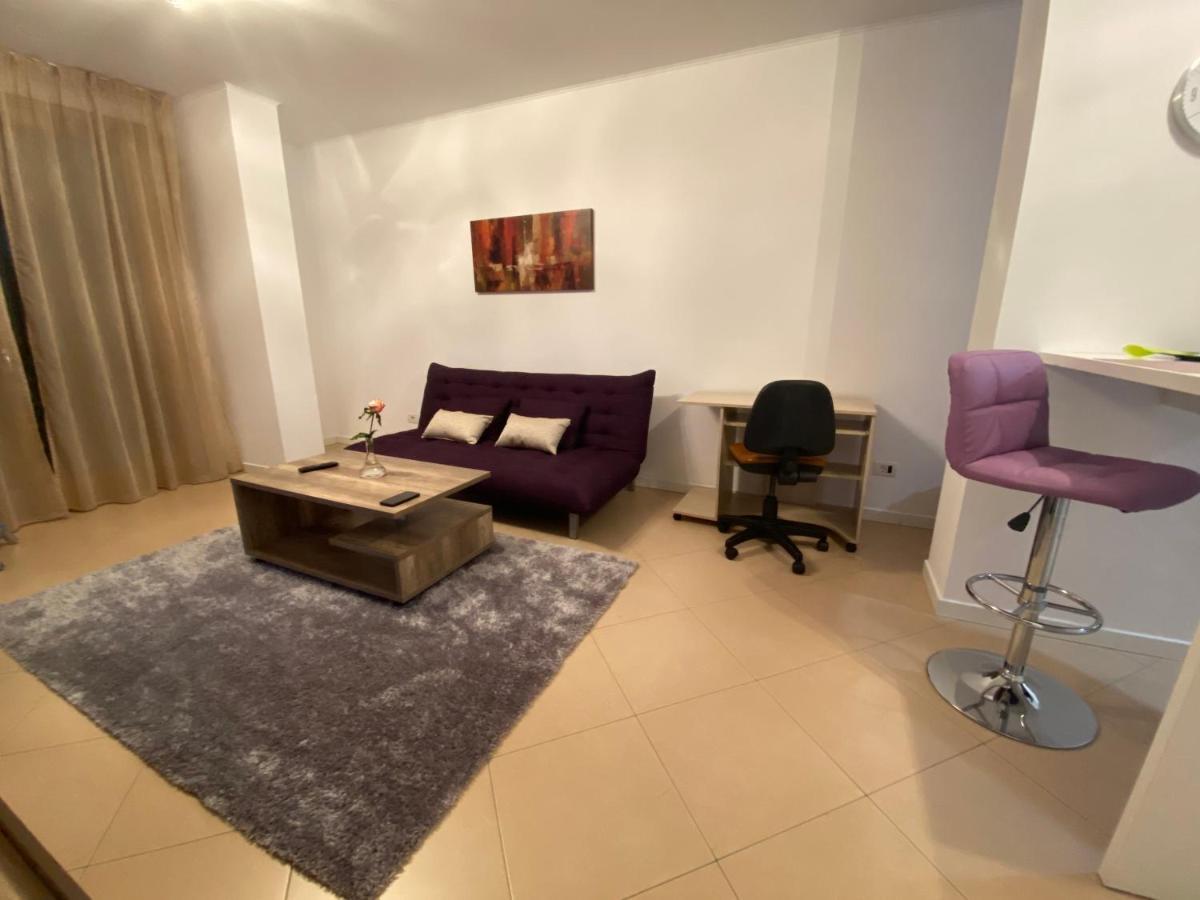 Central Apartment Timișoara Zewnętrze zdjęcie