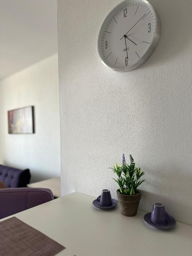 Central Apartment Timișoara Zewnętrze zdjęcie