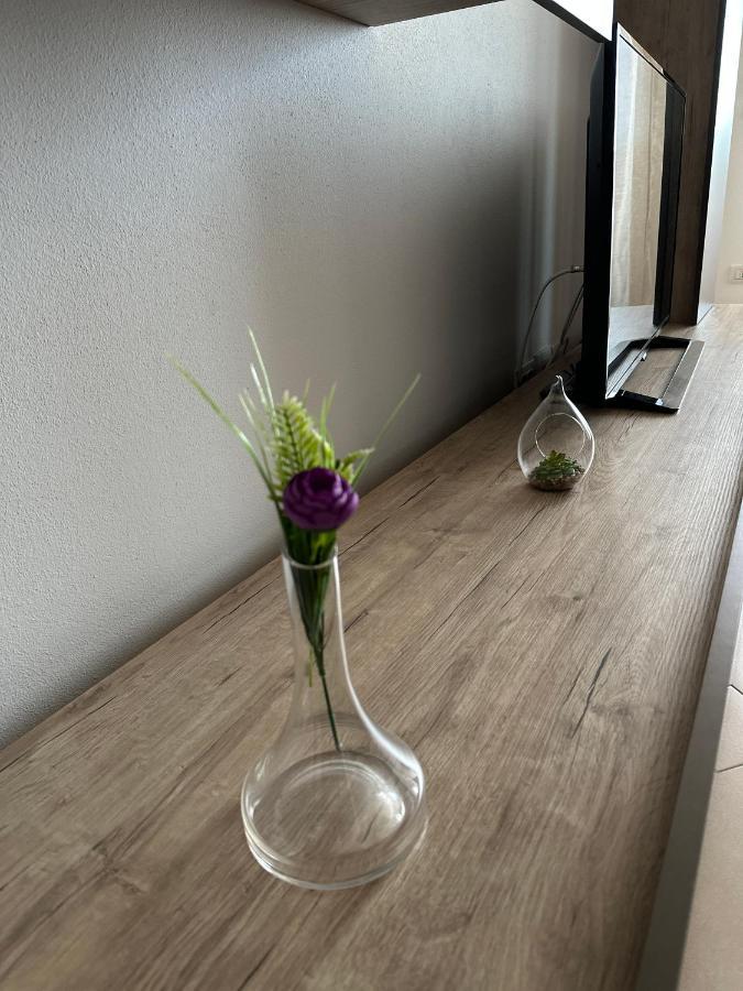 Central Apartment Timișoara Zewnętrze zdjęcie