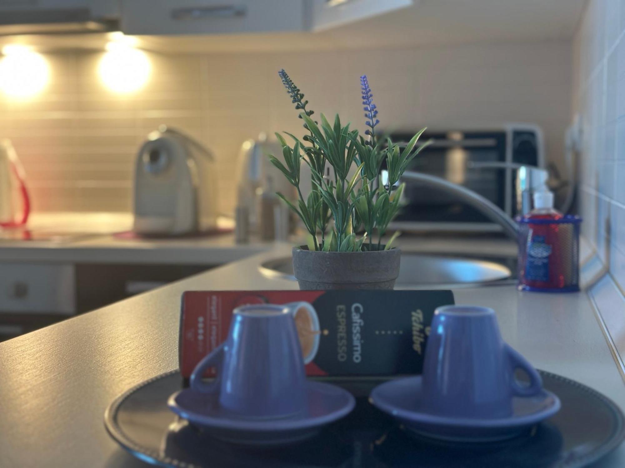 Central Apartment Timișoara Zewnętrze zdjęcie